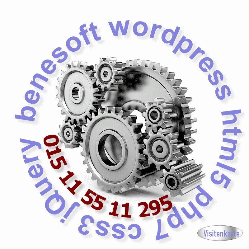 benesoft Wordpress-Beratung Berlin Bene Homann bene@benesoft.de
