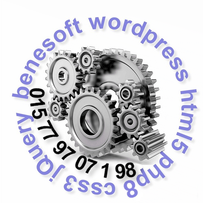 benesoft Wordpress-Beratung Berlin Bene Homann bene@benesoft.de